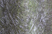 Chainbridge fibreglass roof work